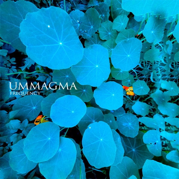 ummagma_freq_600